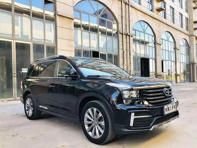 广汽传祺 gs8 2019款 390t 两驱豪华智联版(七座)图片