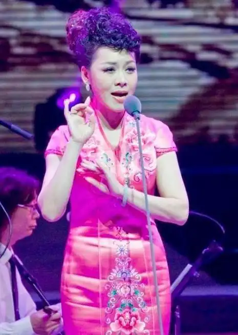 1999年,田敏凭借深情演绎《秦雪梅吊孝》在豫剧青年大赛中脱颖而出,一