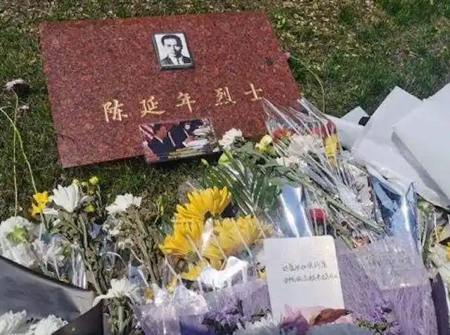 原创陈延年因吴稚晖告密暴露身份临死高呼绝不下跪牺牲时年仅29岁