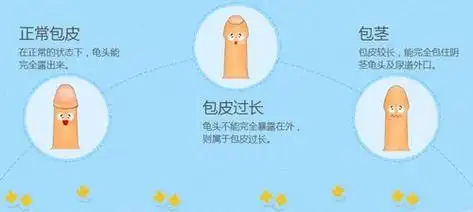 小孩包茎手术最佳年龄新生男婴的小鸡短小怎么办