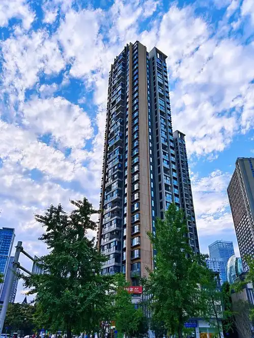 成都房产标准地铁学区房