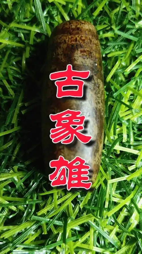 古象雄天珠一一疑似被地埋!