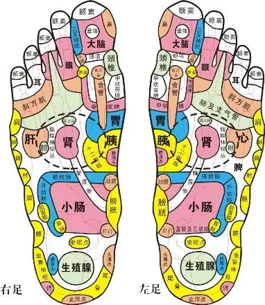 每天晚上回到家,用热水舒舒服服泡个脚,让爱人的双手在脚心,脚背按