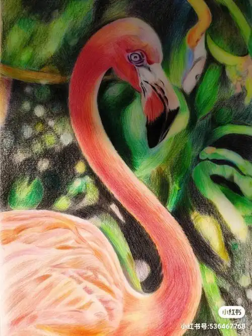 火烈鸟彩铅