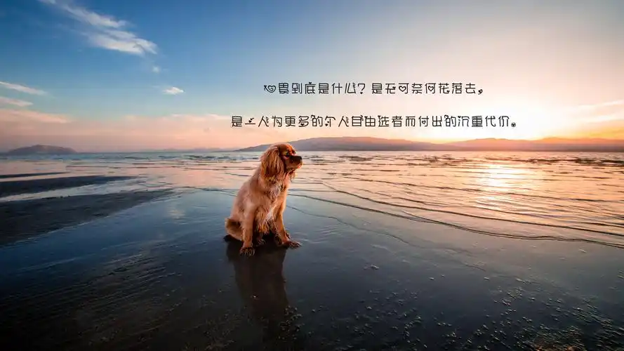 悲伤是成长的恋人语录下一图集:一个人心累了伤感带字图片