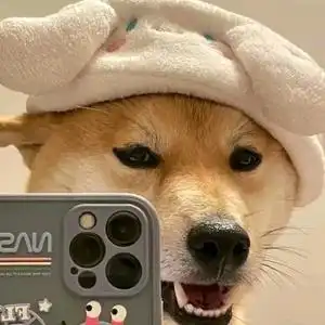 高质量狗勾的主页 - 抖音