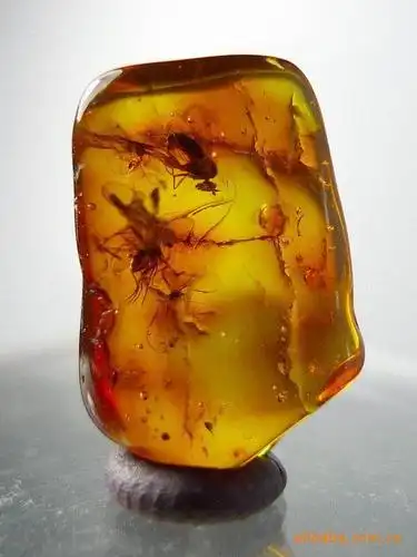 天然琥珀含天然动植物包裹体,活标本,有机宝石