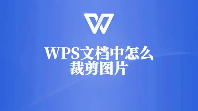 教你wps文档中如何裁剪图片,小白也能秒上手!_网易视频