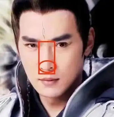 这种精致鼻型男女长了都让人一眼倾心娱乐圈只有三个半人有