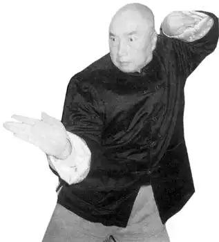 十二,螳螂拳王——于海 - 风雨无阻 - 风雨无阻