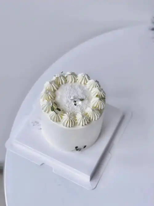 纯白简约蛋糕