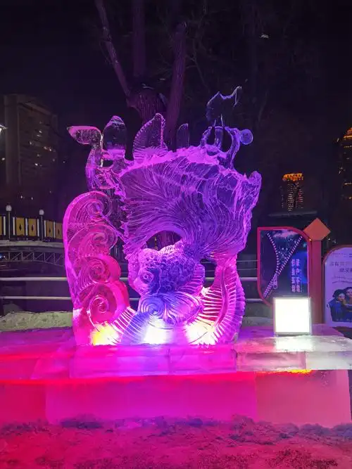 哈尔滨市道里区兆麟公园冰灯