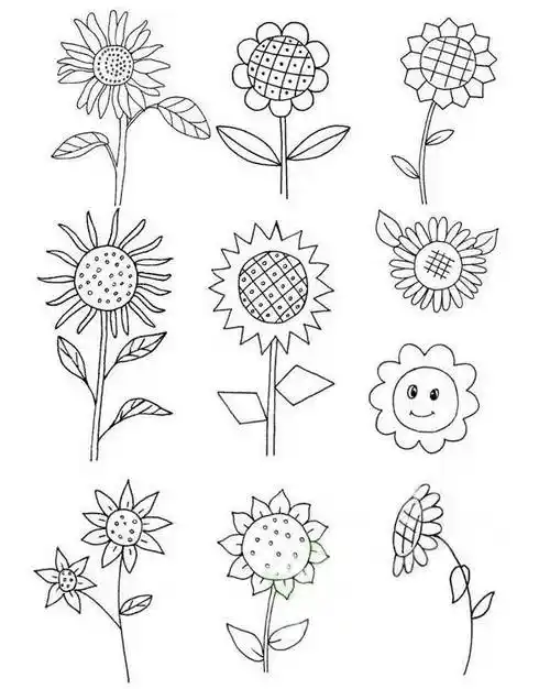 向日葵简笔画 向日葵简笔画简单漂亮