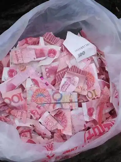 人民币碎片一会儿在满桌的碎片中寻找着什么一会儿又拿起桌上的碎片