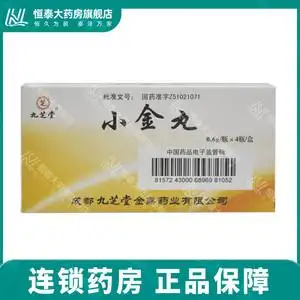 九芝堂 小金丸 0.6g*4瓶/盒 散结消肿,化瘀止痛.