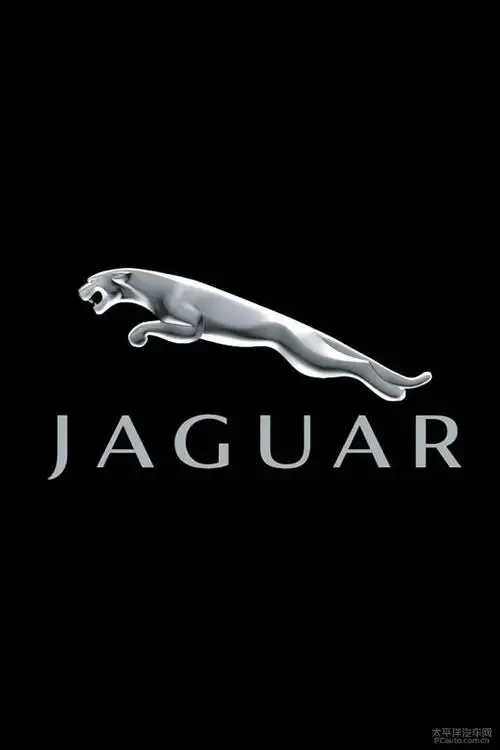 广东捷豹车友会