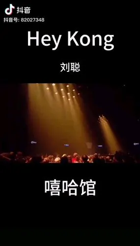 刘聪的巅峰之作heykong什么水平