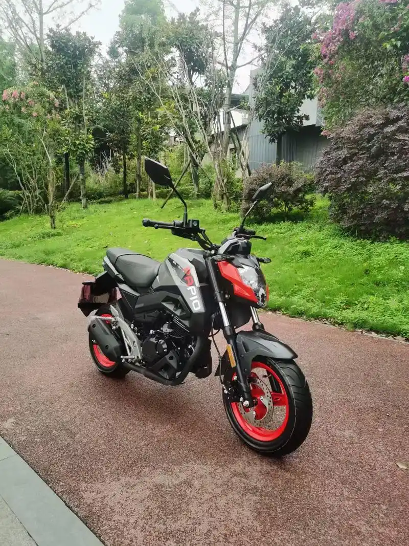春风狒狒125cc