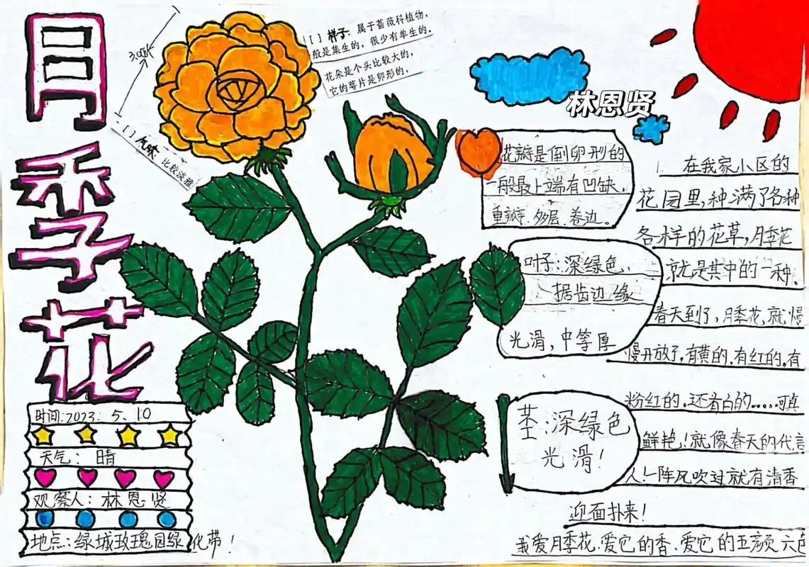 一年级小朋友自己独立完成的自然笔记.