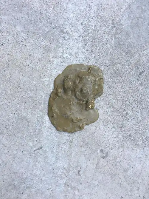 虽然恶心 但是想知道小狗拉这样的屎 是怎么回事 应该怎么办