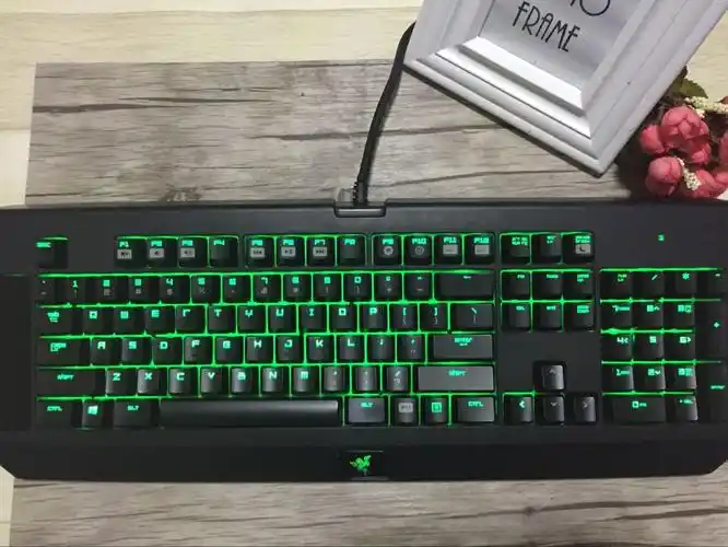 热销雷蛇 黑寡妇蜘蛛_键盘razer/雷蛇黑寡妇蜘蛛终极109键 多功能绿轴
