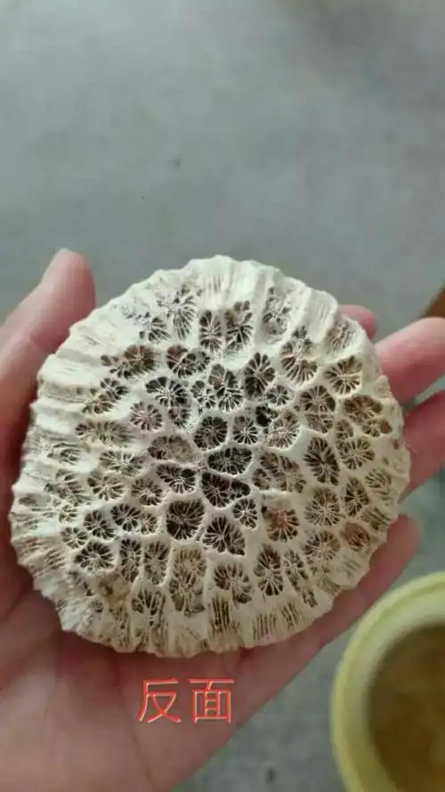 是蜂窝化石吗,能值多少钱?