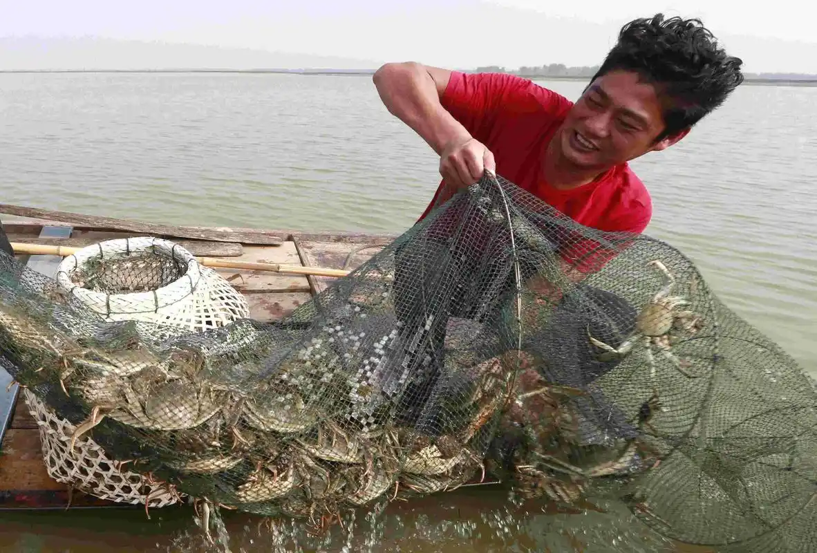 大闸蟹 售价 - 2020年最新商品信息聚合专区 - 百度爱采购