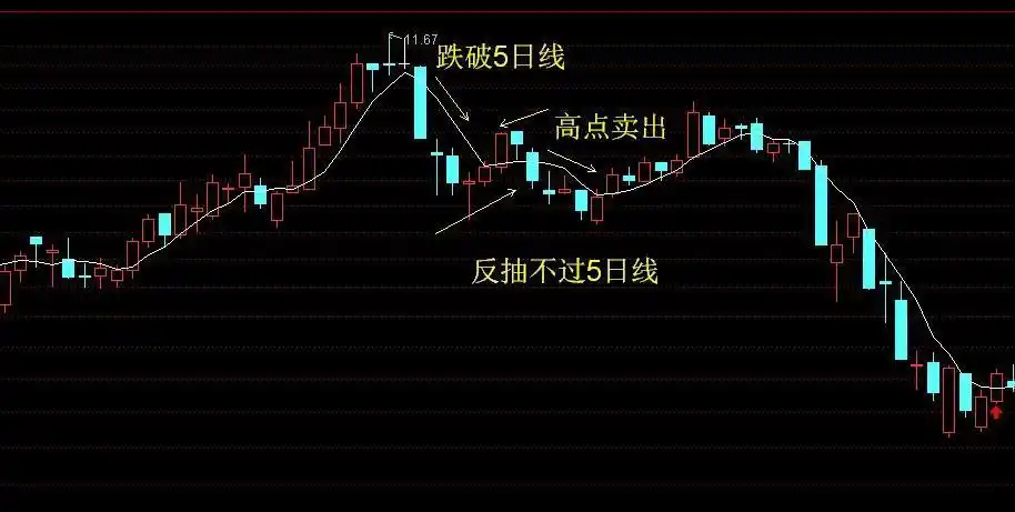 运用5日均线看准买卖点