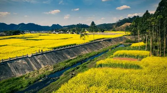 铁牛村鸟瞰图铁牛村位于土主镇北部,东接白马镇,南边为桐花塘村,西与