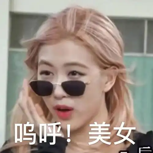 blackpink粉墨金智秀jisoo金珍妮jennie朴彩英roselisa表情包大楼