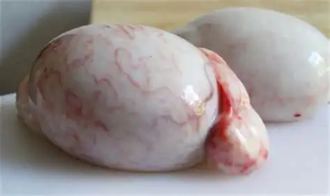 真实骟割出来的人睾丸视频 - 搜狗英文