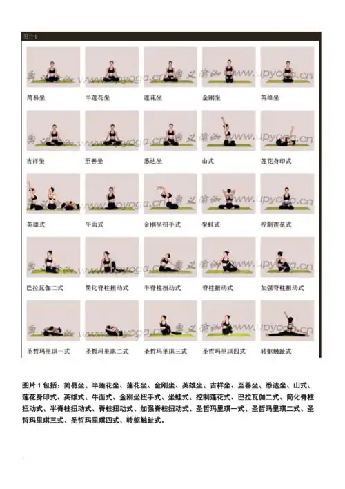 瑜伽体位大全图片