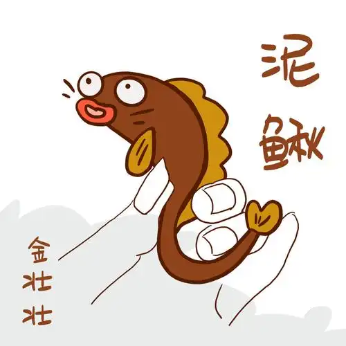 泥鳅