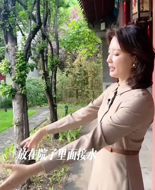 下面就让我们一起跟随刘芳菲的镜头来看看都有哪些值得关注的亮点之处