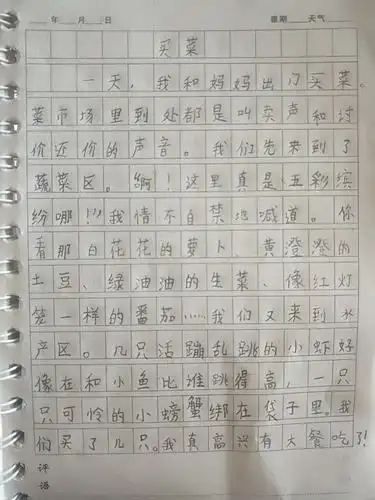 王馨悦的暑假日记