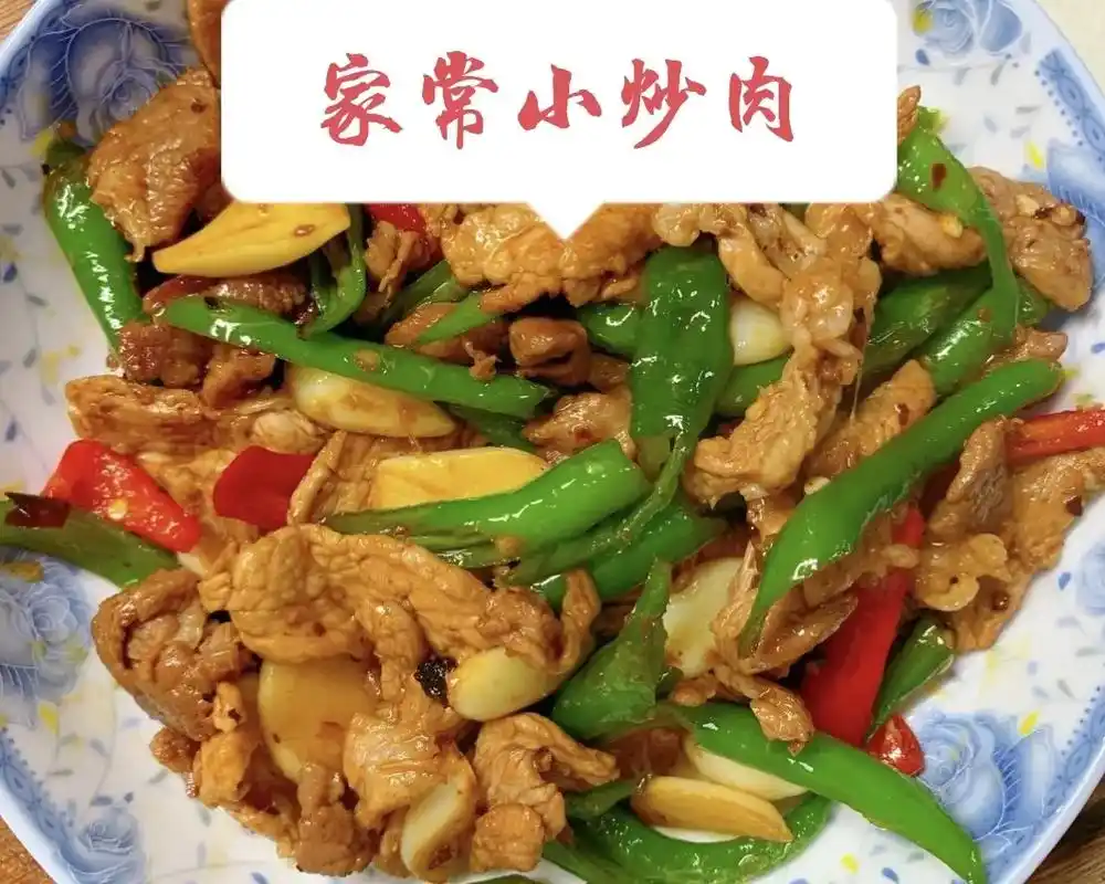 家常小炒肉.开胃下饭的小炒肉来啦. 用料:五花肉250克 - 抖音