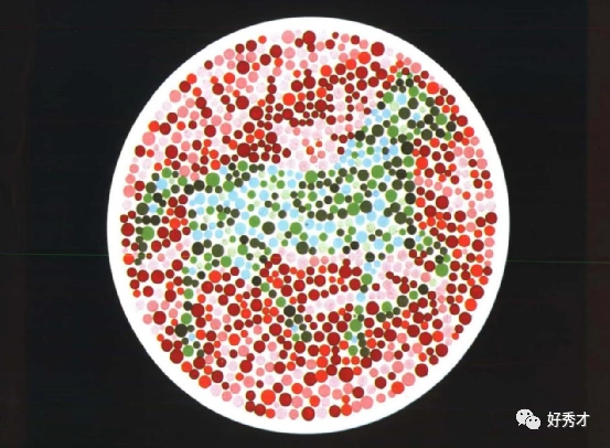 想当飞行员这几张色觉测试图就是毛毛雨一眼就要能够识别