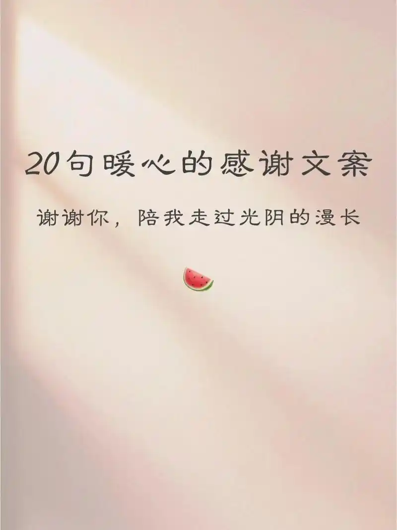 20句暖心治愈文案7115谢谢你陪我走过漫长岁月 94主题:20 - 抖