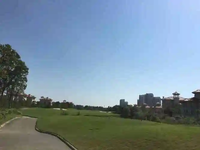 棕榈滩海景高尔夫俱乐部-"棕榈滩海景高尔夫俱乐部总是会出现这里与.