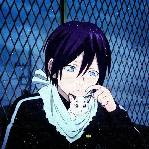 一部恋爱热血番?野良神必拥有姓名!