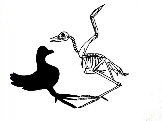 异影图形的创意与表现(矛盾)