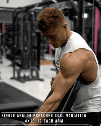 如何打造麒麟臂?先把肱二头肌练好,3个动作完美刺激它