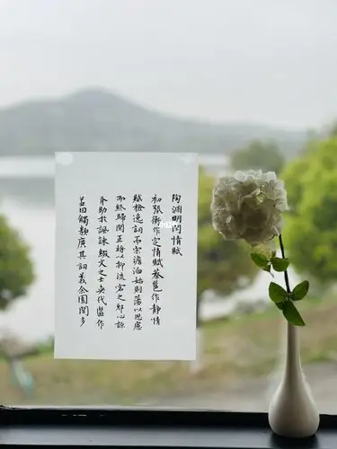 写字快乐d291岁月静好不负清晨