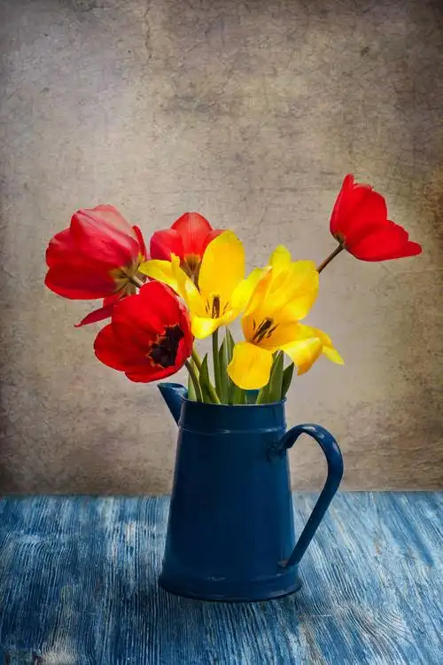 静物,生活,粉色,郁金香,花瓶