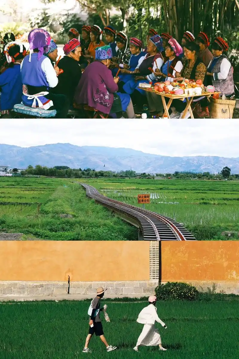 大理喜洲古镇91夏天总要来一趟喜洲麦田吧.