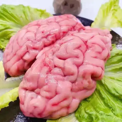 羊脑子真活羊火锅食材冷冻山羊脑 姬美食尚 新鲜羊脑一斤【图片 价格