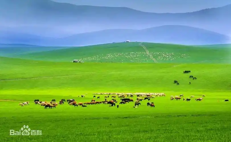 我国四大草原之一,是水草丰美的牧场,是在温带草原中是具有典型性