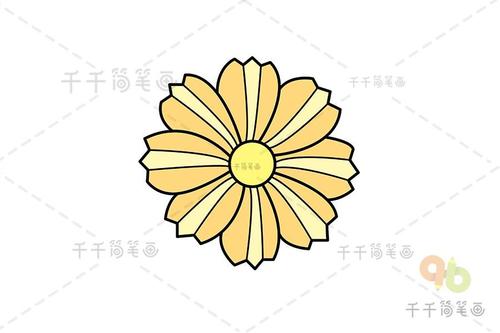 花朵简笔画怎么画