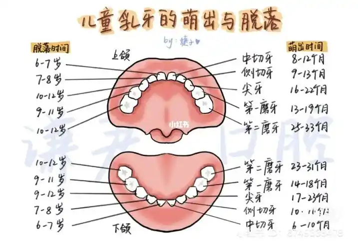 小孩子牙齿