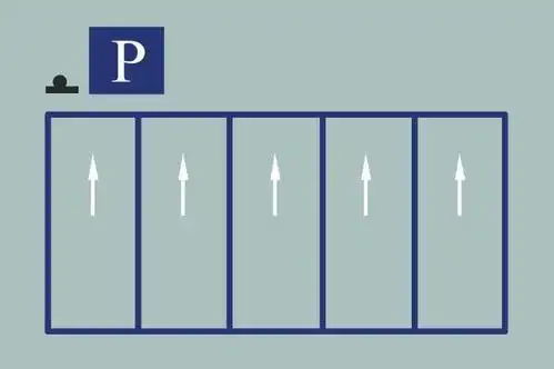 点击放大图片题目分析:停车位有箭头,表示停车时车头要按箭头方向停放